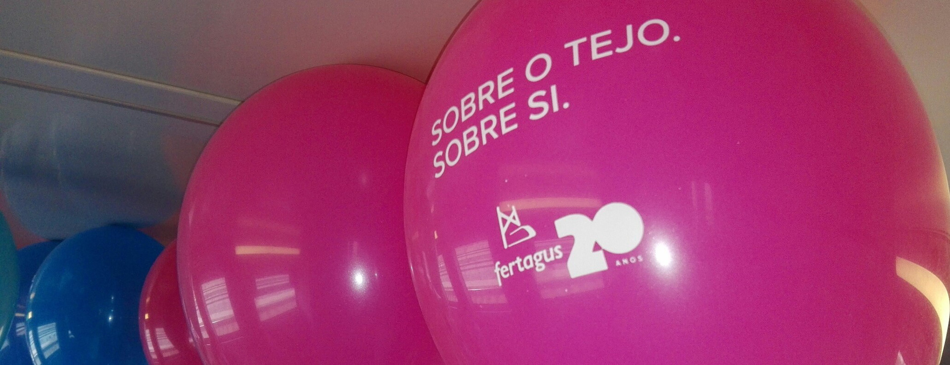 Imagem de topo