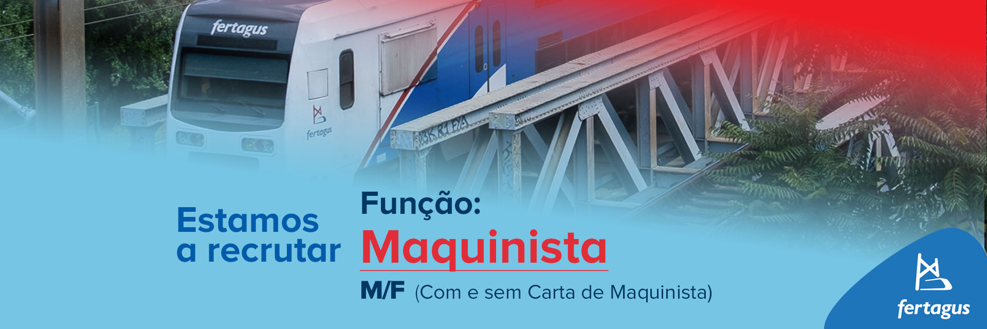 Imagem de topo